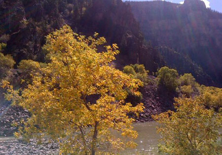 Aspen on Rt70 by Colorado River