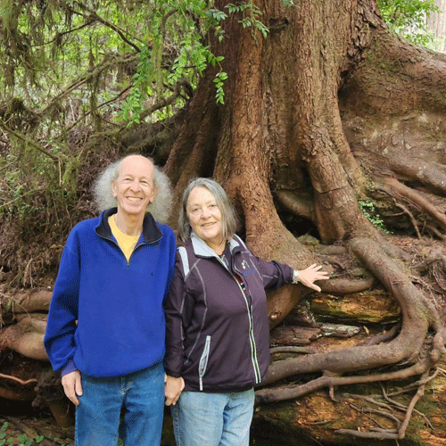 Bart and Kitty in the Redwoods