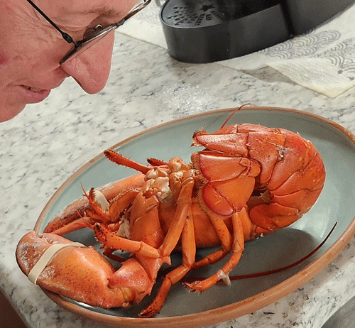 BartLobster