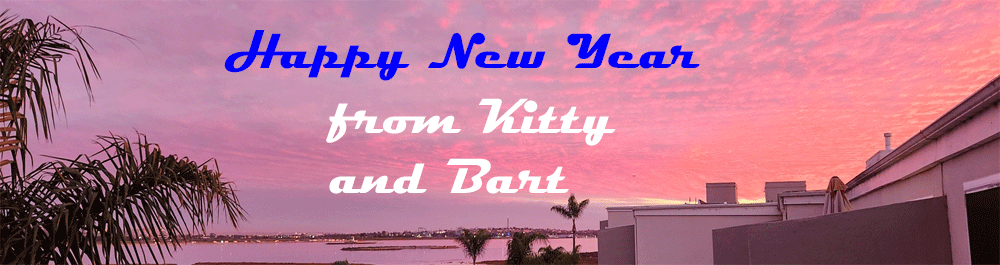 Happy New Year from Kitty and Bart