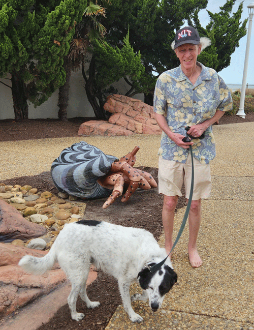 Bart Virginia Beach Boardwalk