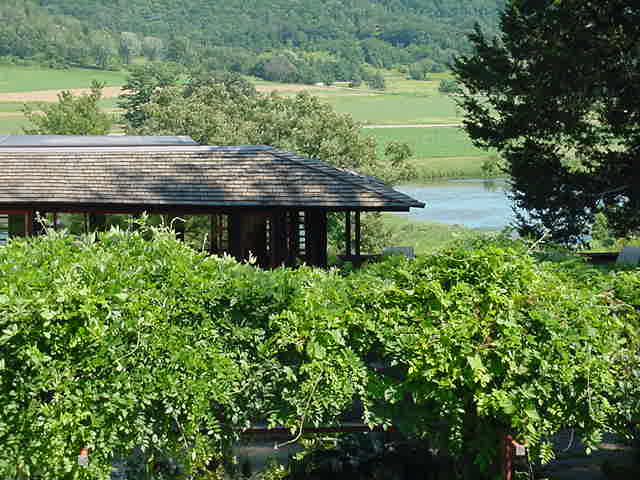 grapevines and FLW bedroom/2nd study