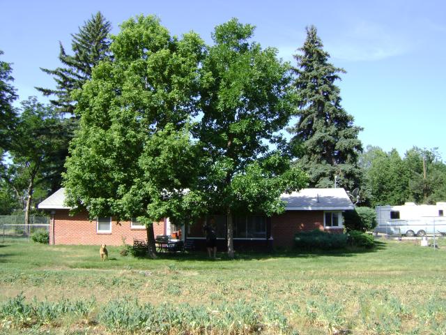 looking at the back of our house from backyard