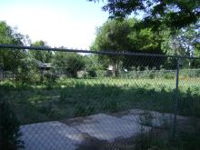 the horse pasture on the far side of the barn