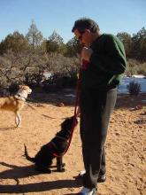 Best Friends Animal Sanctuary