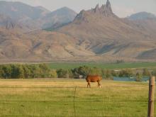 near Cody, Wyoming