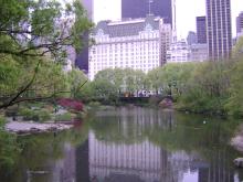 Plaza Hotel from the Park