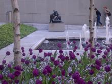 Scupture Garden at MOMA