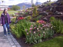 Tromsø Botanic Garden